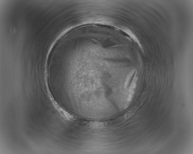 X0000082961088200702152259