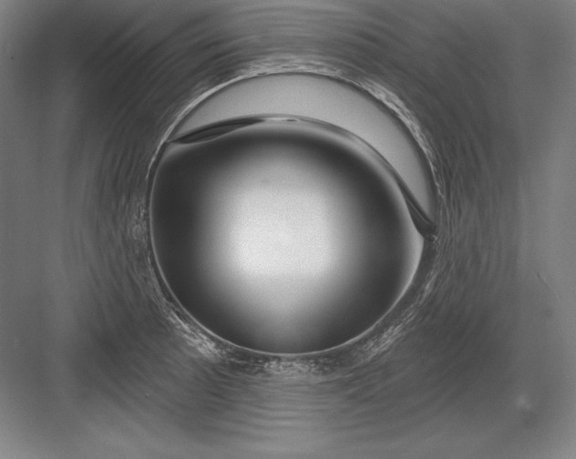 X0000082961089200702152259