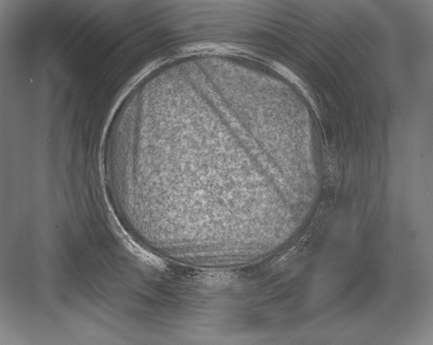 X0000082961090200702152259