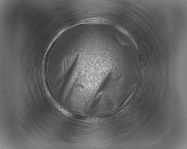 X0000082961091200702152259