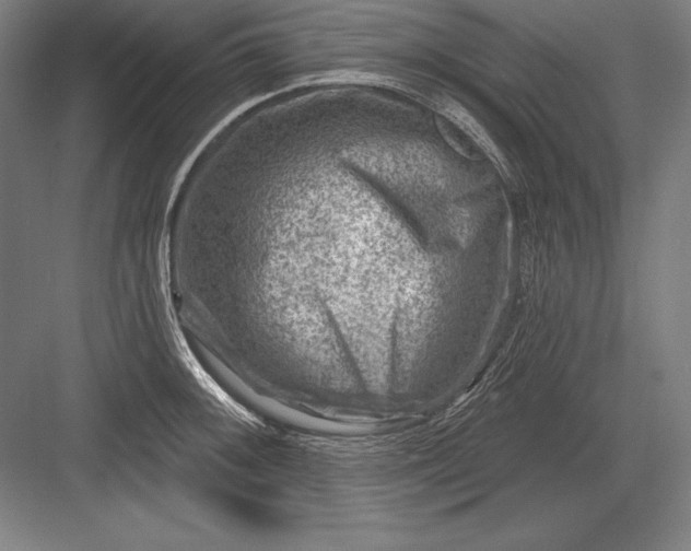 X0000082961092200702152259