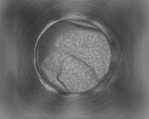 X0000082961094200702152259