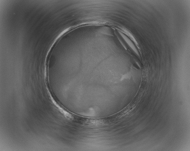 X0000082961095200702152259