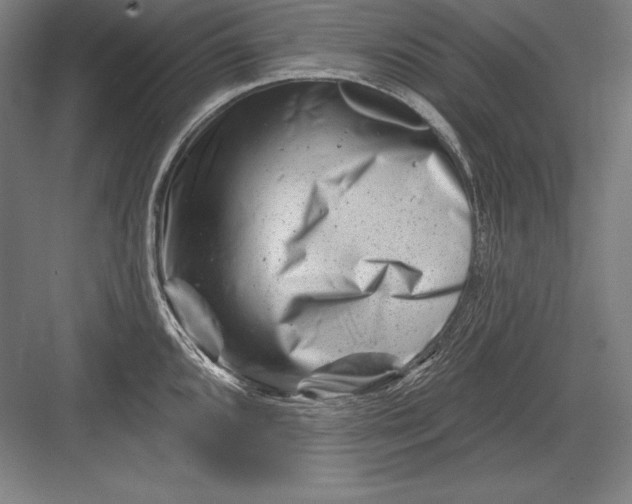 X0000082961096200702152259