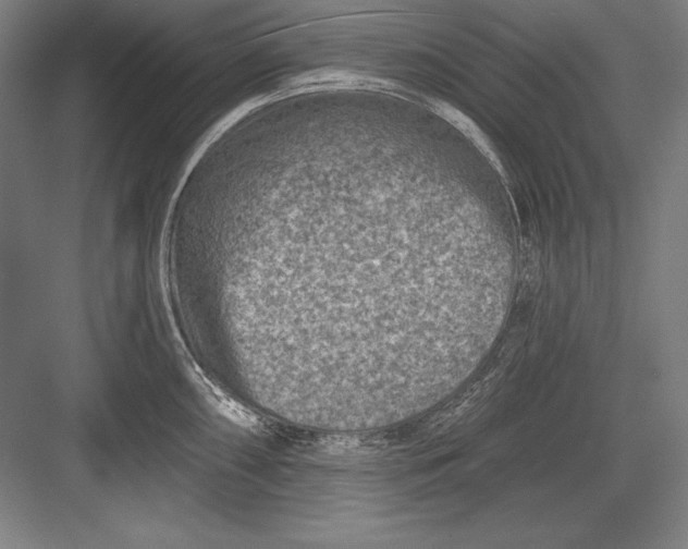 X0000082961098200702152259