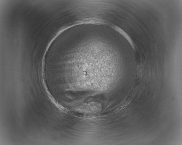 X0000082961099200702152259