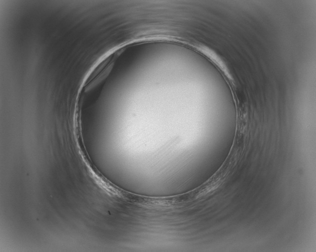 X0000082961101200702152259