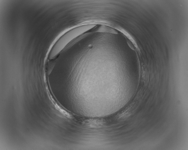 X0000082961102200702152259