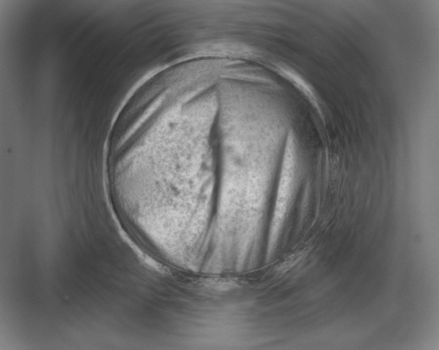 X0000082961103200702152259