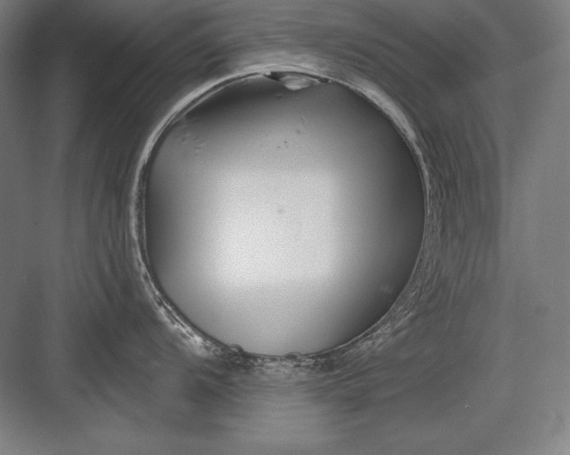 X0000082961104200702152259