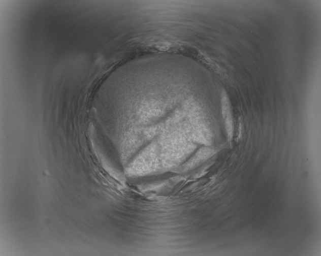 X0000082961105200702152258