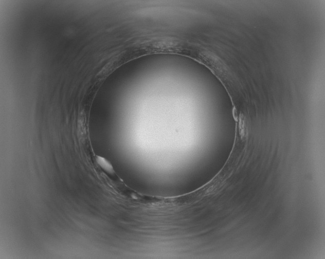 X0000082961107200702152258