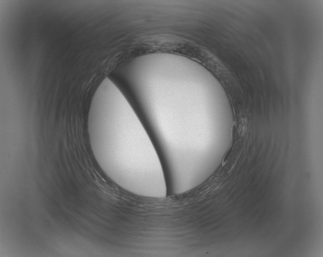 X0000082961108200702152258