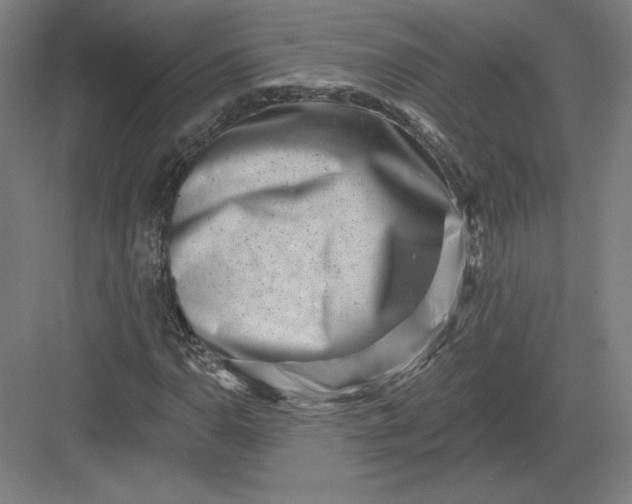 X0000082961110200702152258