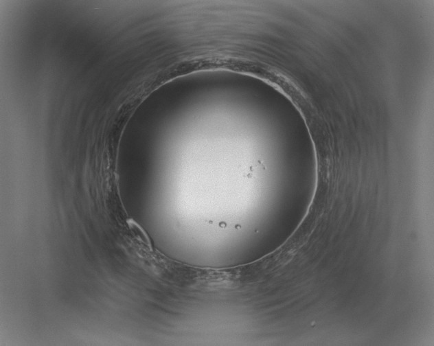 X0000082961111200702152258