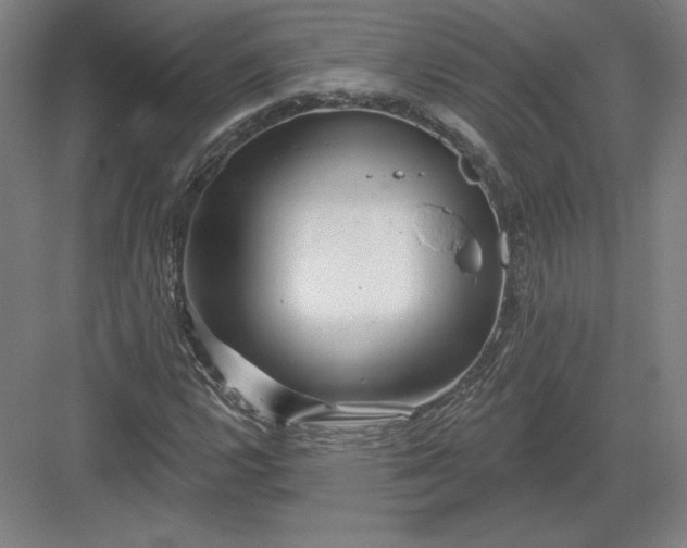 X0000082961112200702152258