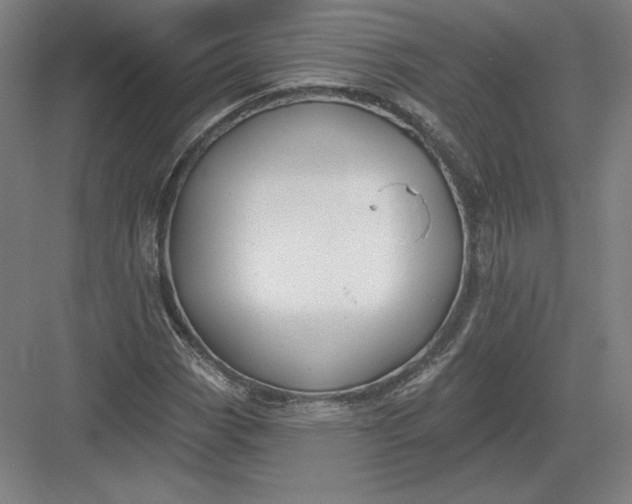 X0000082961113200702152258