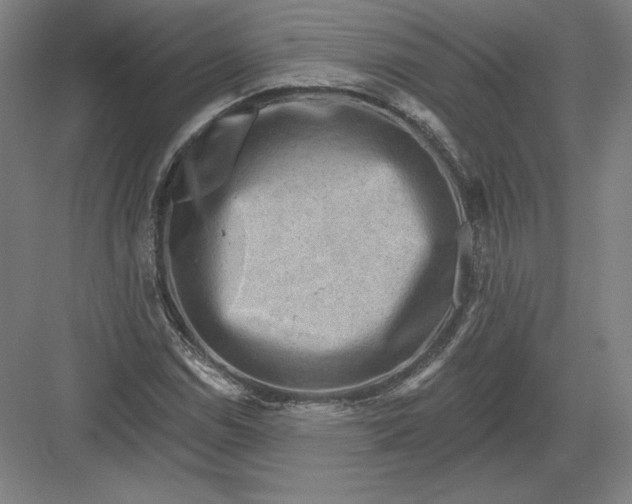 X0000082961114200702152258