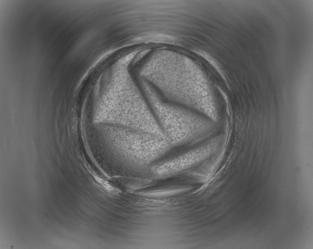 X0000082961115200702152258