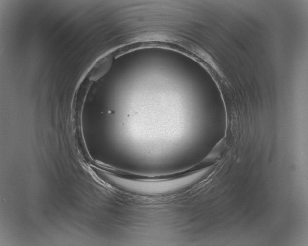 X0000082961116200702152258