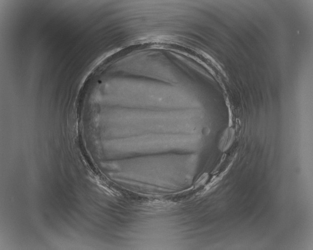 X0000082961117200702152258