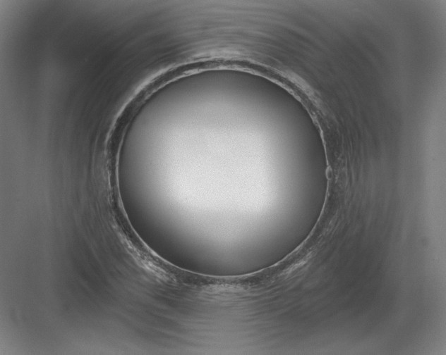 X0000082961118200702152258