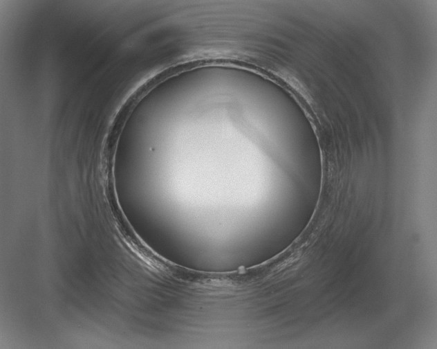 X0000082961119200702152259