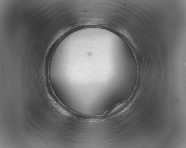 X0000082961122200702152259