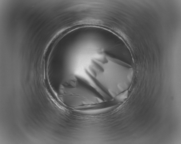 X0000082961123200702152259