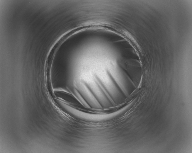 X0000082961124200702152259