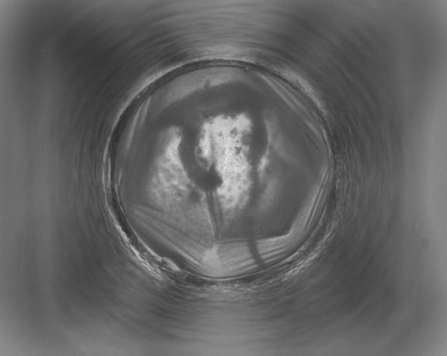 X0000082961125200702152259