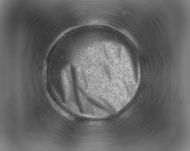 X0000082961126200702152259