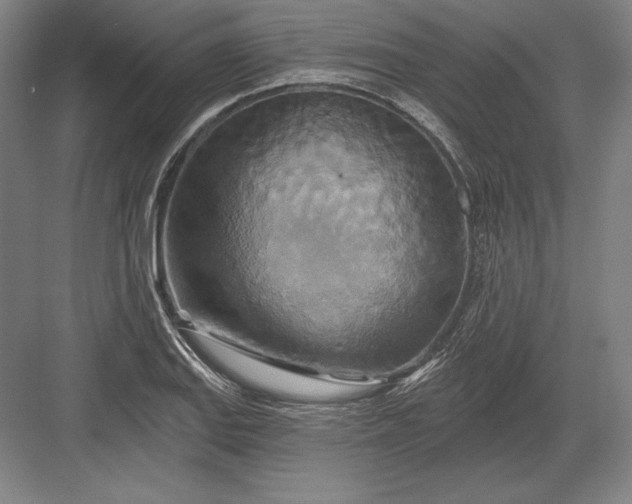 X0000082961127200702152259