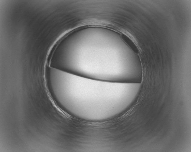 X0000082961128200702152259