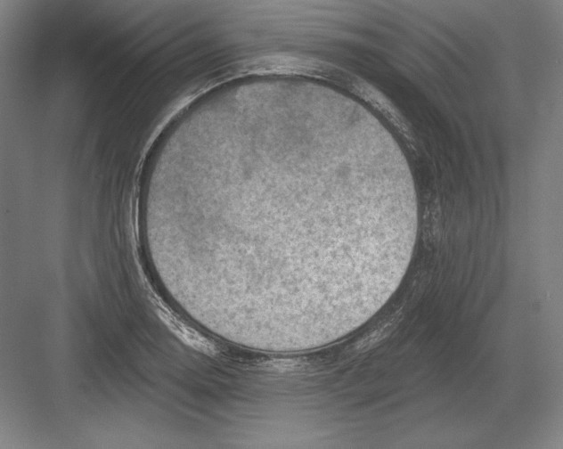 X0000082961130200702152259