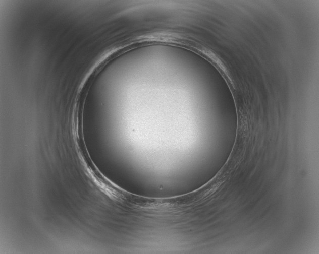 X0000082961131200702152259