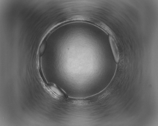 X0000082961132200702152259