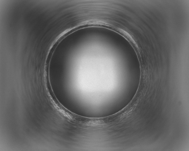 X0000082961133200702152259