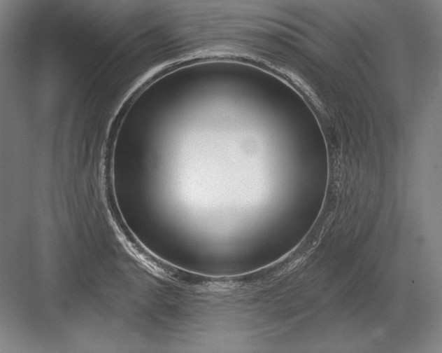 X0000082961134200702152259