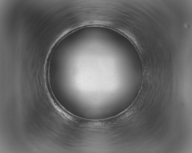 X0000082961135200702152259