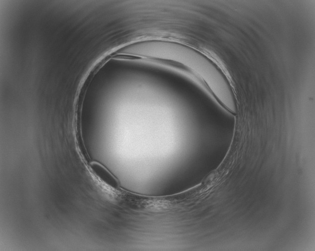 X0000082961136200702152259