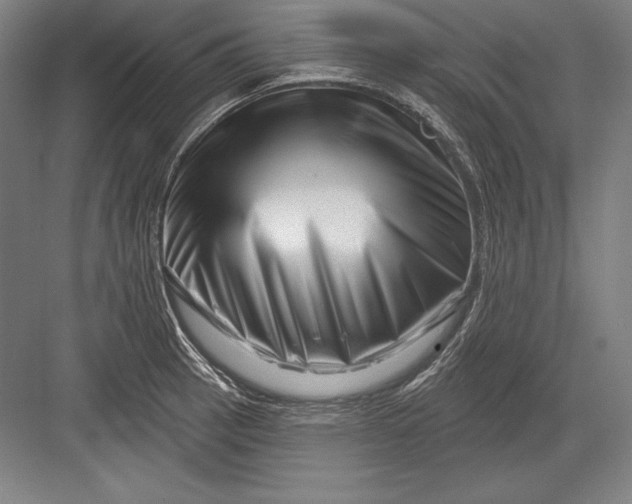 X0000082961137200702152259