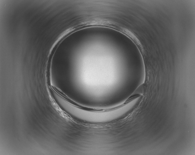 X0000082961138200702152259