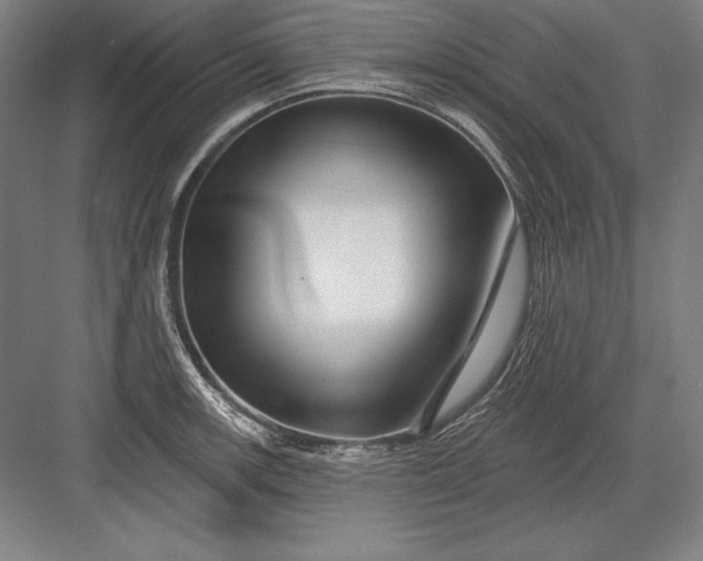 X0000082961139200702152259