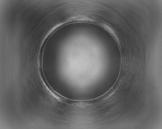 X0000082961141200702152259