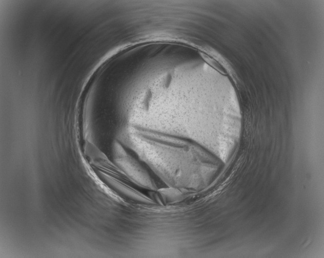 X0000082961142200702152259