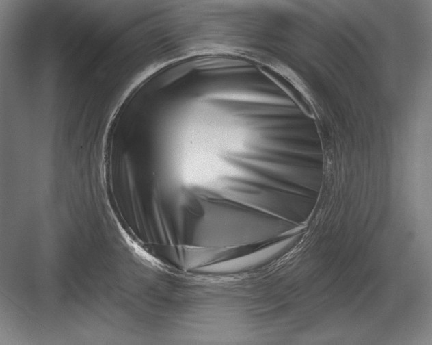 X0000082961143200702152259