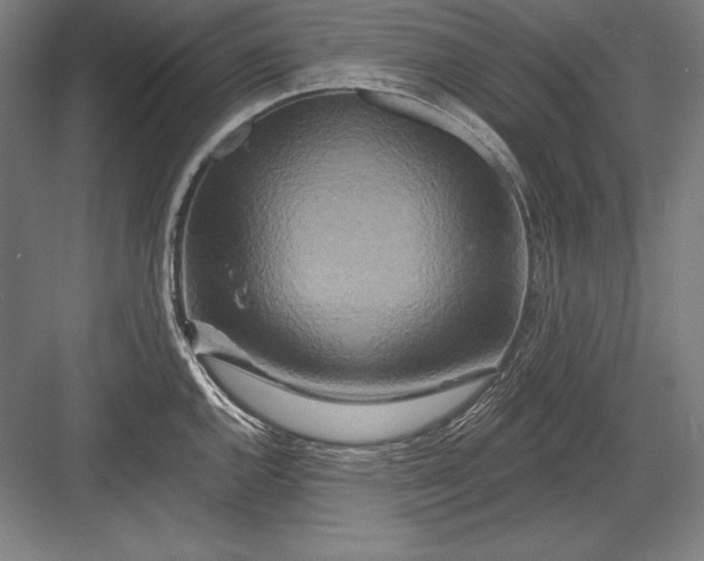 X0000082961144200702152259