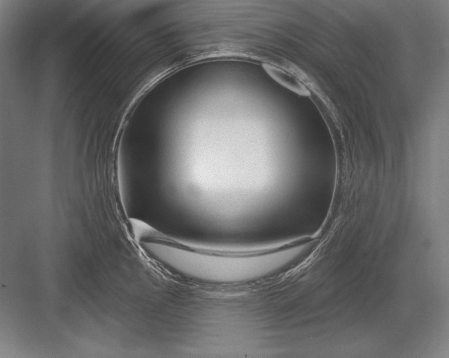 X0000082961145200702152259