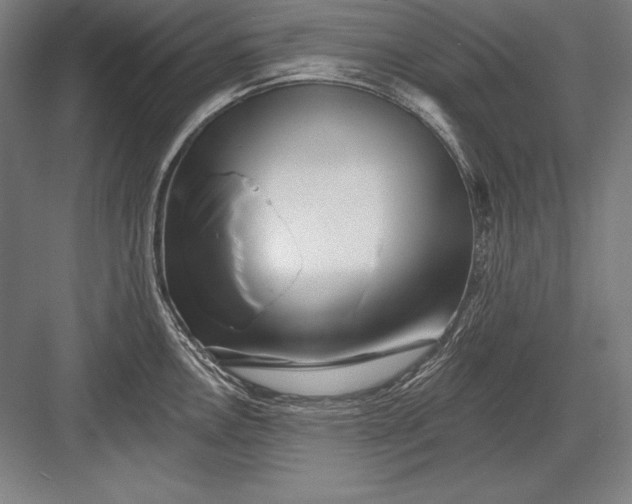 X0000082961146200702152259